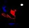 mr_maxime's Avatar
